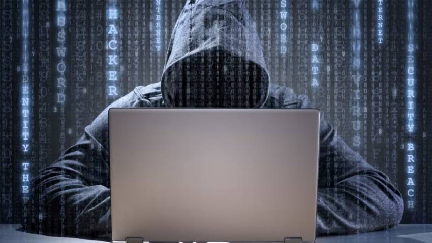 长宁区小程序定制开发：.NET的利刃与暗礁